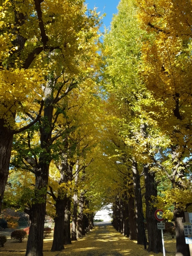 e0016828_13241379.jpg