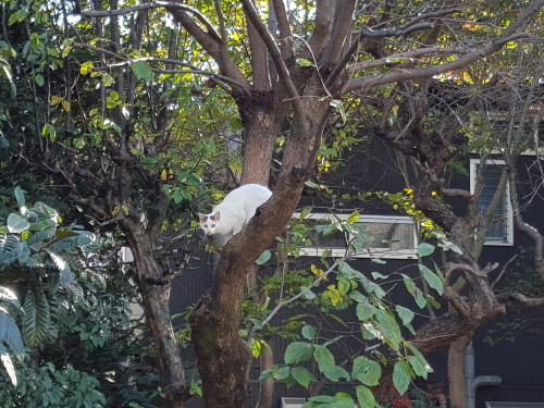 e0016828_13252016.jpg