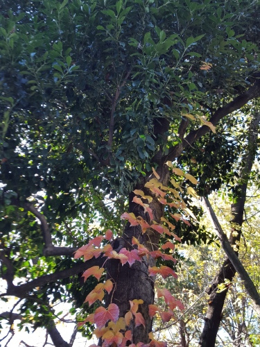 e0016828_13265837.jpg