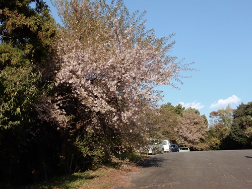 e0033229_9114925.jpg