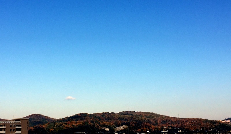 b0057140_1710625.jpg