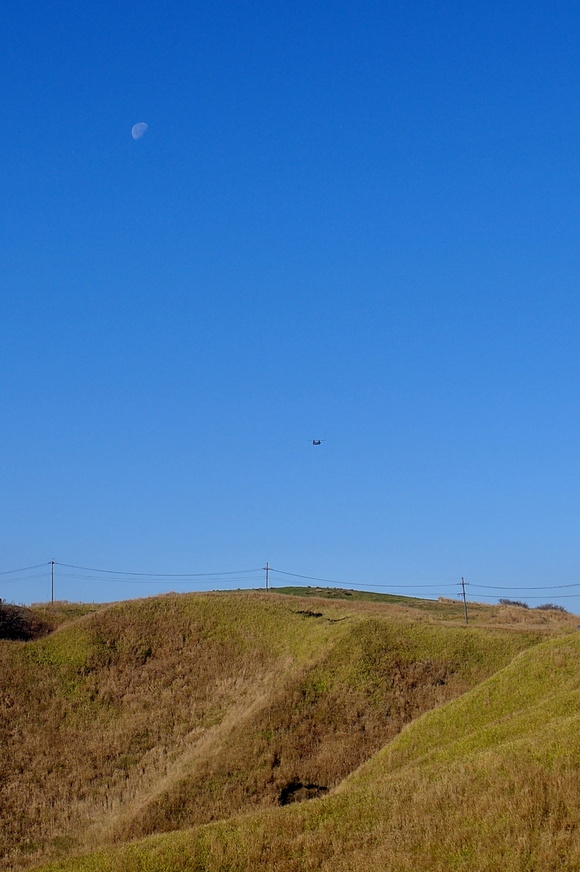 c0281841_1345582.jpg