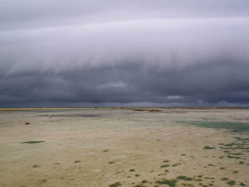 c0180460_17583942.jpg