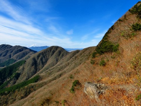 e0045768_2204461.jpg