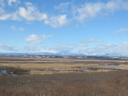 e0081170_1450917.jpg