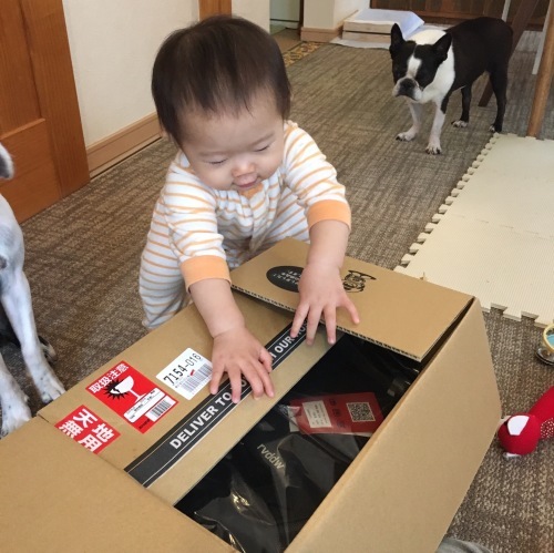 d0041575_21595719.jpeg