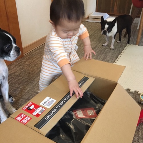 d0041575_22001695.jpeg