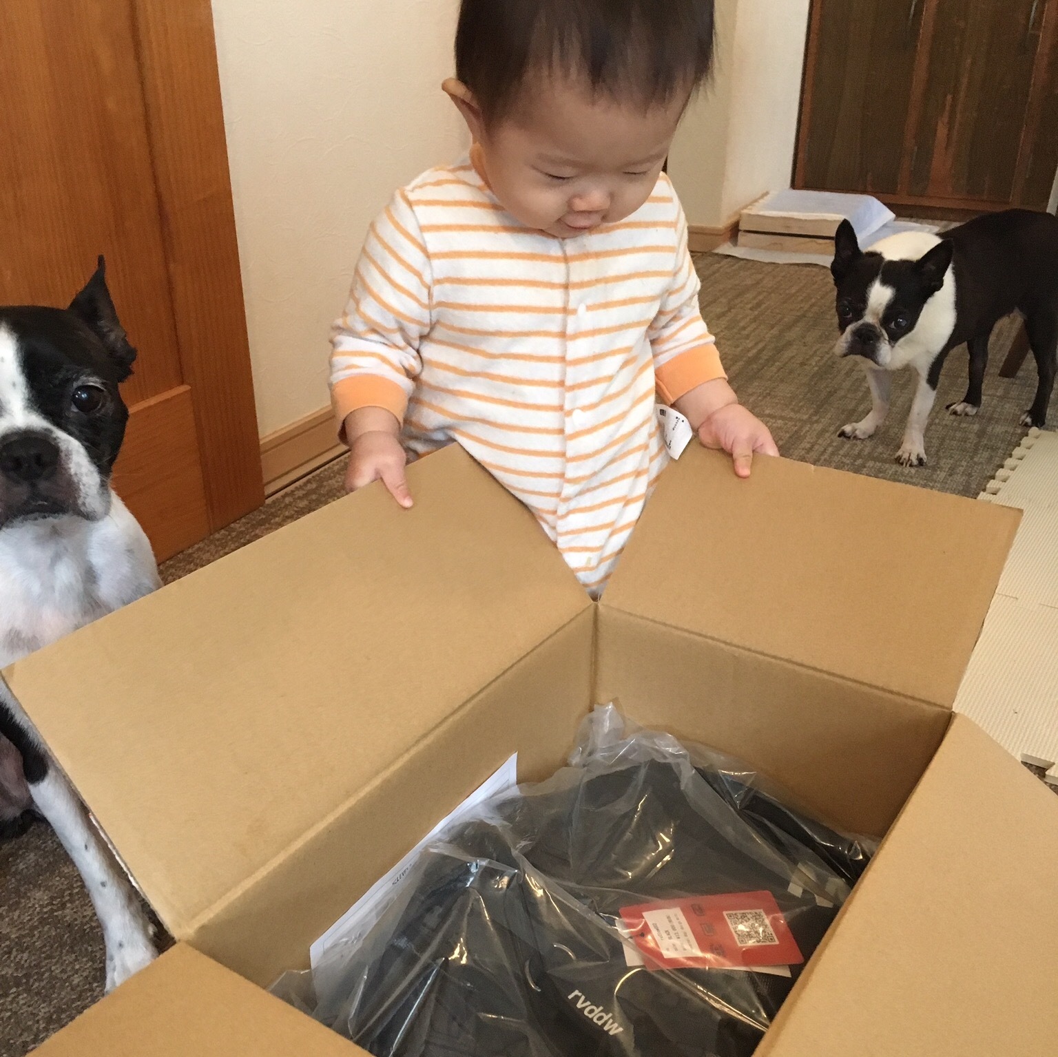 d0041575_22004019.jpeg