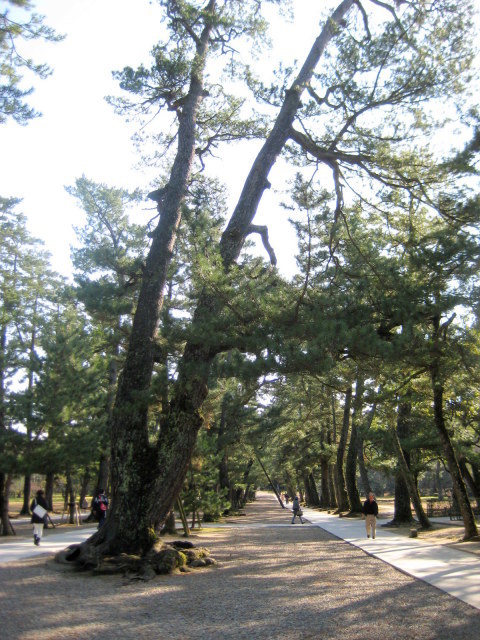 c0221281_14460801.jpg