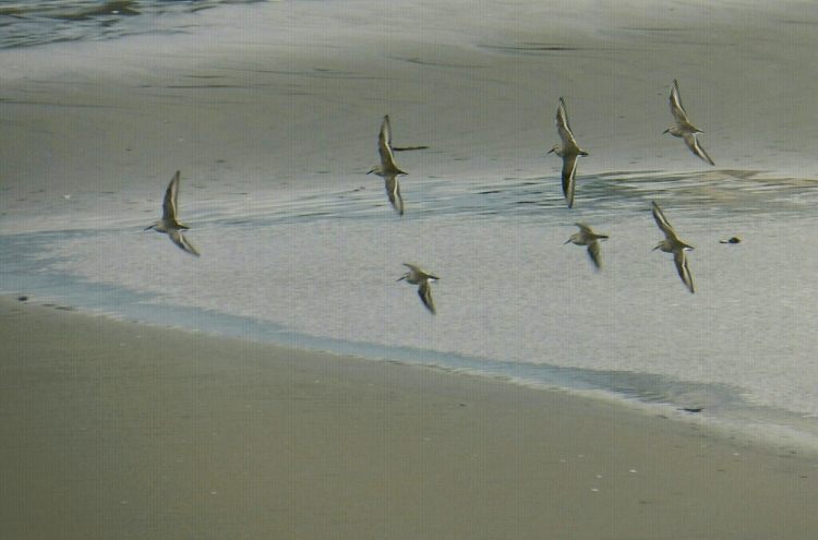 e0357387_17190270.jpg