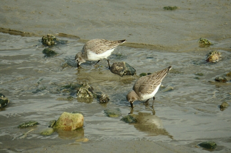 e0357387_17201100.jpg