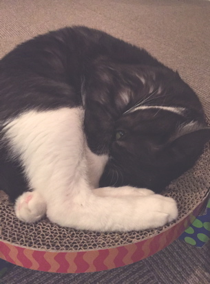 f0222387_9201315.jpg