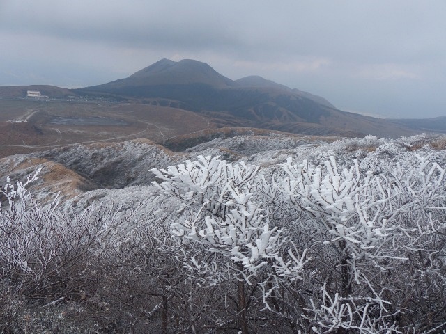 f0357487_2153377.jpg