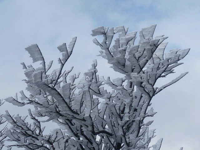 f0357487_2155661.jpg