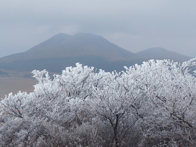 f0357487_21572080.jpg