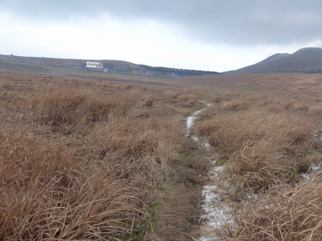 f0357487_21573445.jpg