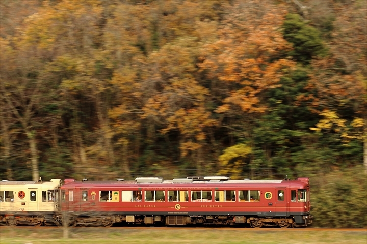 a0335890_19260440.jpg