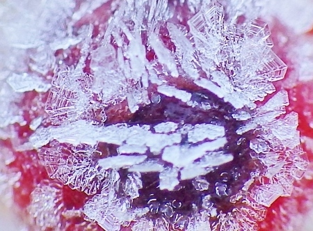 a0125598_21590820.jpg