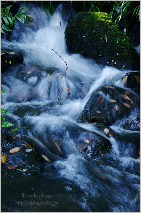 e0008800_19345973.jpg
