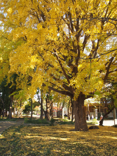 a0164102_1054948.jpg