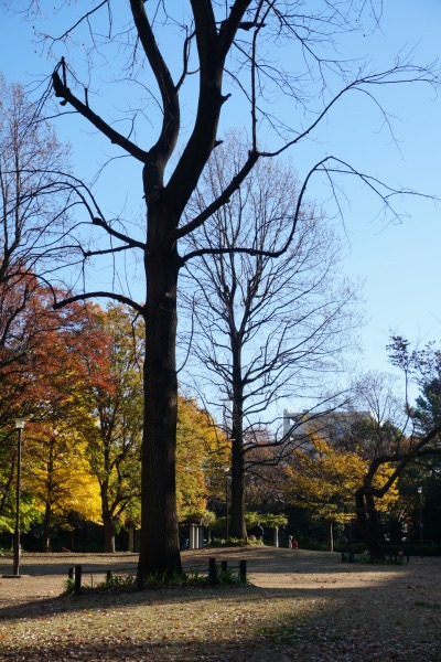 f0036603_21591445.jpeg
