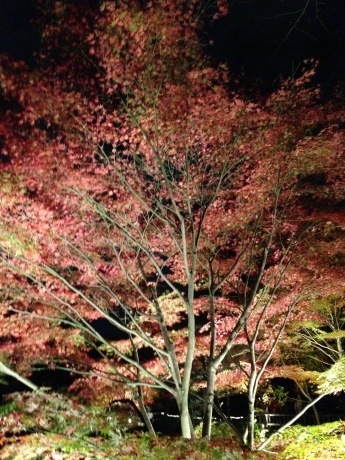 f0250403_00344617.jpg