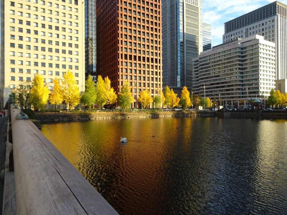 b0052108_22432082.jpg