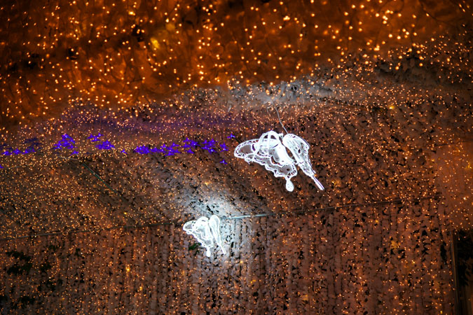a0263109_945080.jpg