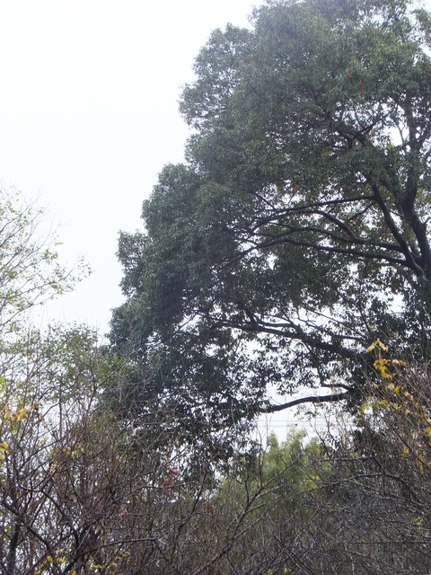 f0204110_10293240.jpg
