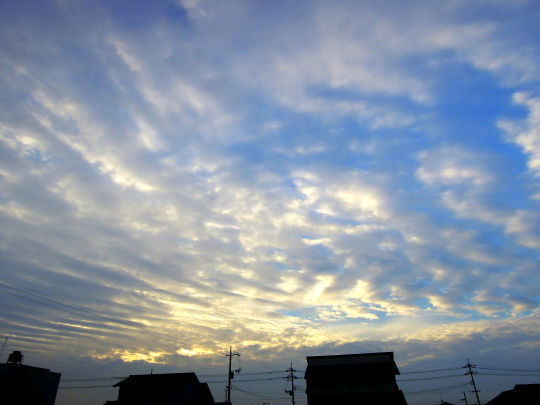 a0158613_13130567.jpg