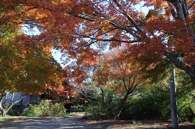 e0341417_15172796.jpg