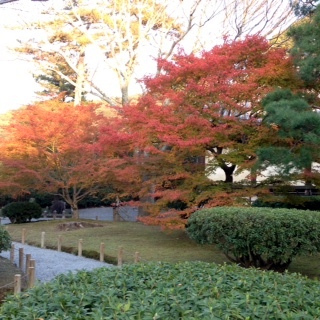 b0225319_18563256.jpg