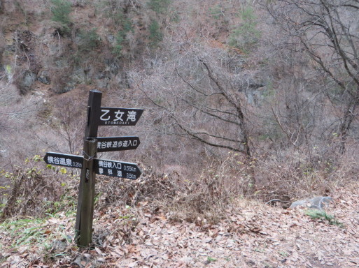 e0109622_17432303.jpg