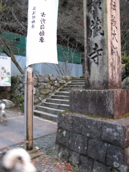 f0143123_1858389.jpg