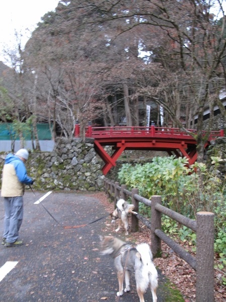f0143123_190147.jpg