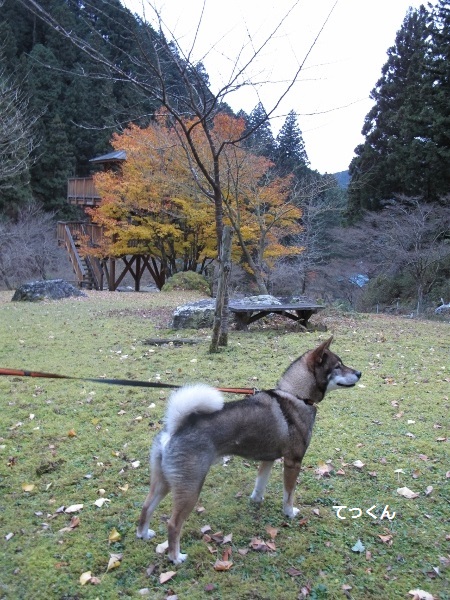f0143123_1904069.jpg