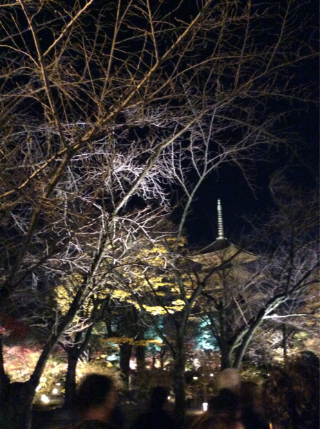 c0103830_12395012.jpg