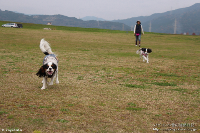 d0140234_20102415.jpg