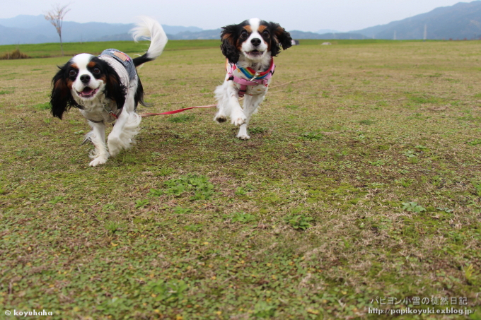 d0140234_2011321.jpg