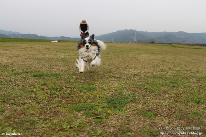 d0140234_2044037.jpg