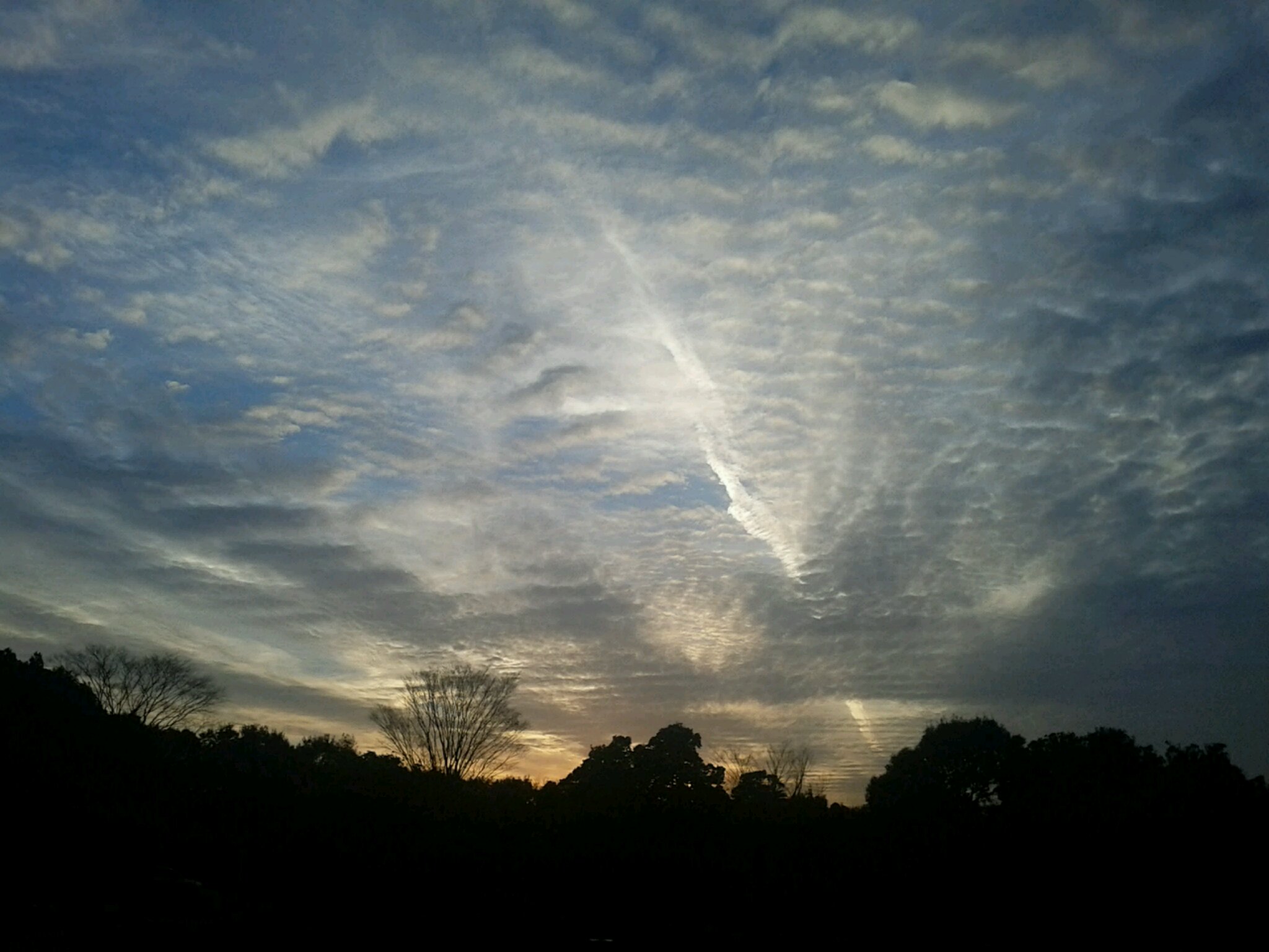 f0034334_194796.jpg