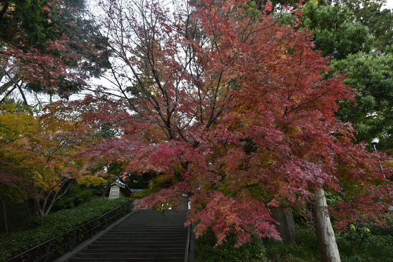b0042837_1243449.jpg