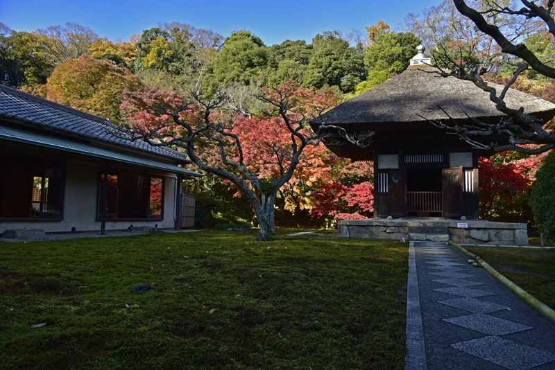 b0042837_1315880.jpg
