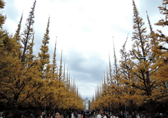 b0075140_225951.jpg
