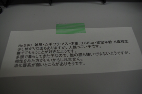 c0266644_22143186.jpg