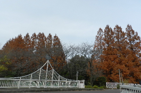e0172950_20211581.jpg