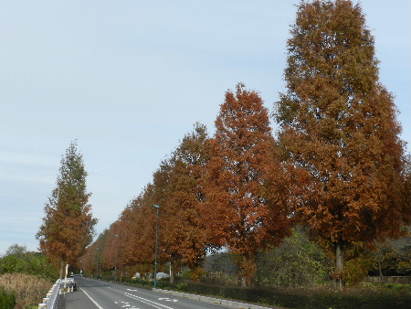 e0172950_20214330.jpg