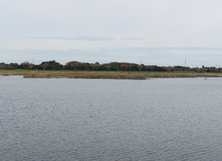 e0172950_20225689.jpg