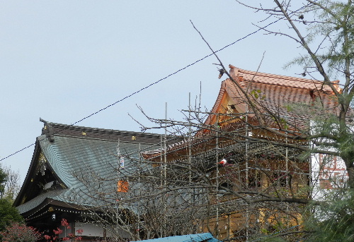 e0172950_20235937.jpg