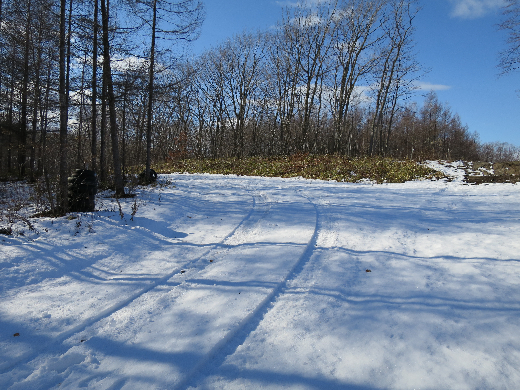 e0183255_1153308.jpg